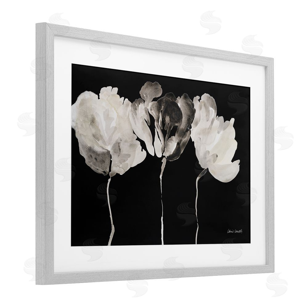 Lanie Loreth Trio In Light On Black Gray Framed Print Under Glass Wall Art
