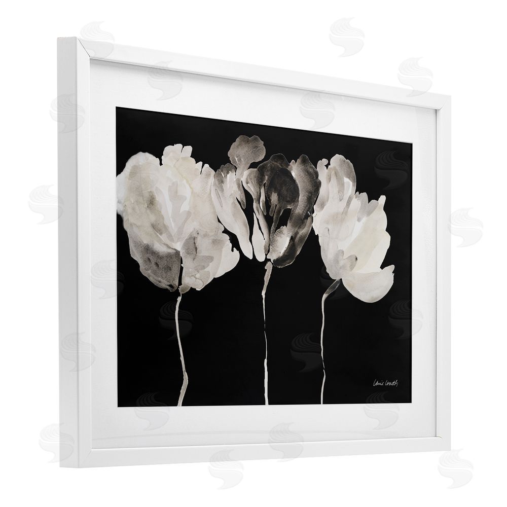 Lanie Loreth Trio In Light On Black White Framed Print Under Glass Wall Art