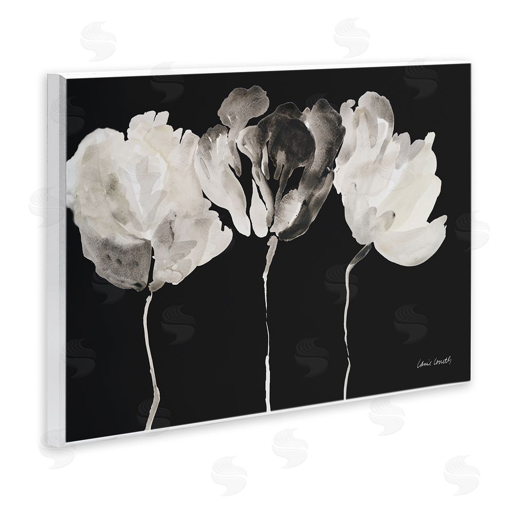 Lanie Loreth Trio In Light On Black Wall Plaque Art Print