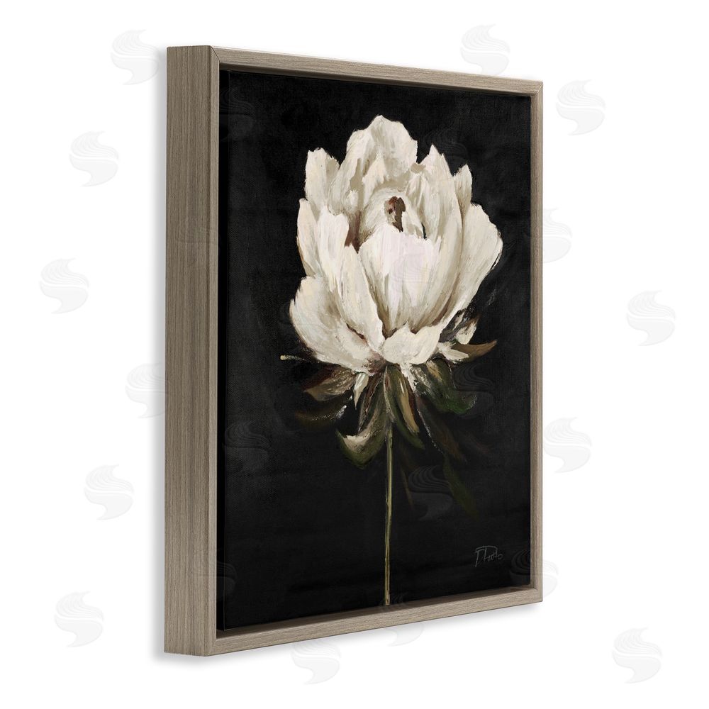 Patricia Pinto Pretty Delicate Bloom on Black Brown Floating Frame Canvas Wall Art Print