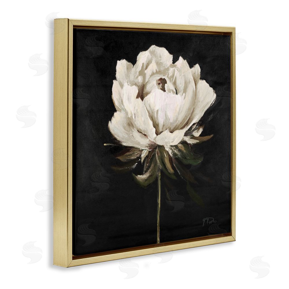 Patricia Pinto Pretty Delicate Bloom on Black Gold Floating Frame Canvas Wall Art Print
