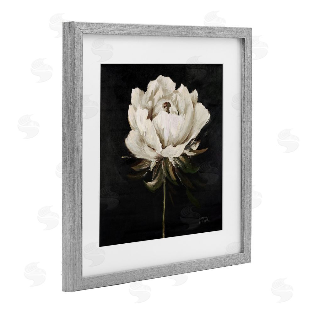 Patricia Pinto Pretty Delicate Bloom on Black Gray Framed Print Under Glass Wall Art