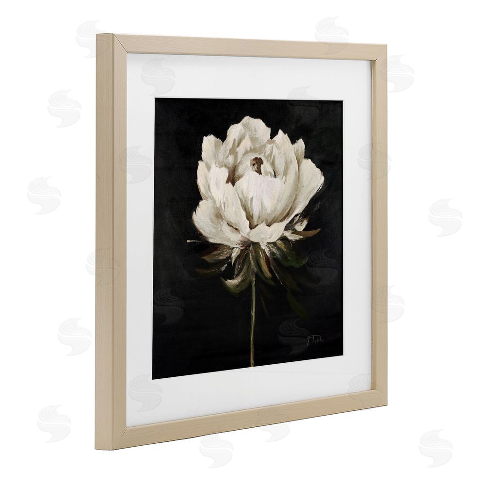 Patricia Pinto Pretty Delicate Bloom on Black Birch Framed Print Under Glass Wall Art