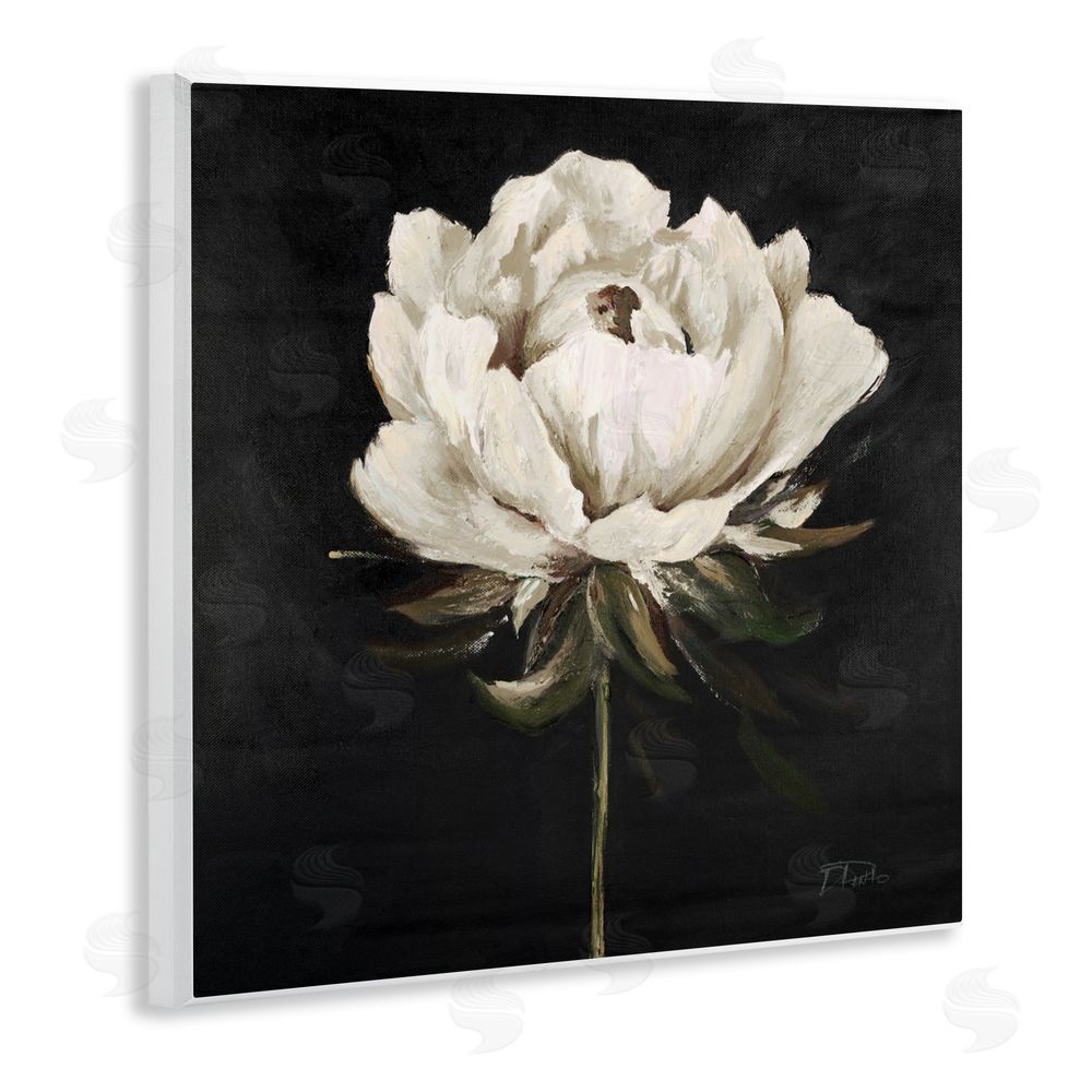 Patricia Pinto Pretty Delicate Bloom on Black Wall Plaque Art Print