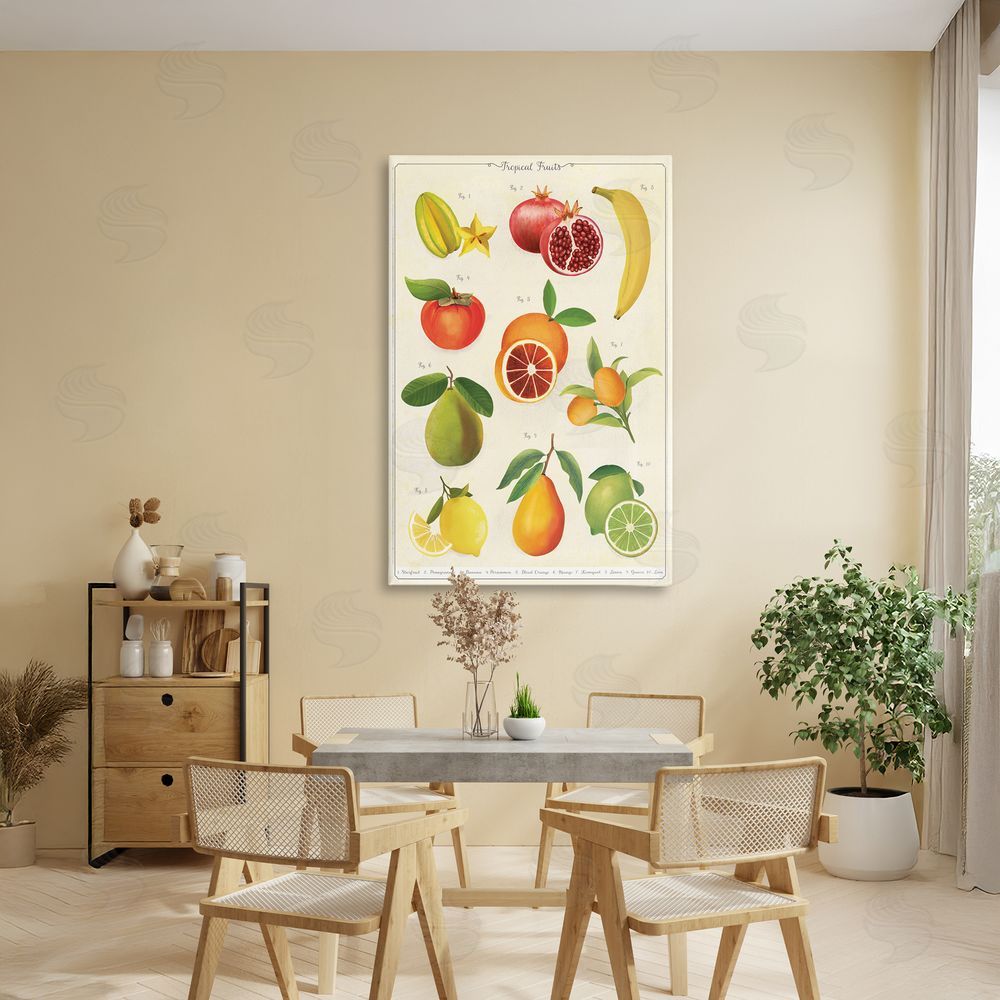 Diane Neukirch Vintage Tropical Fruit Studies Stretched Canvas on Wall