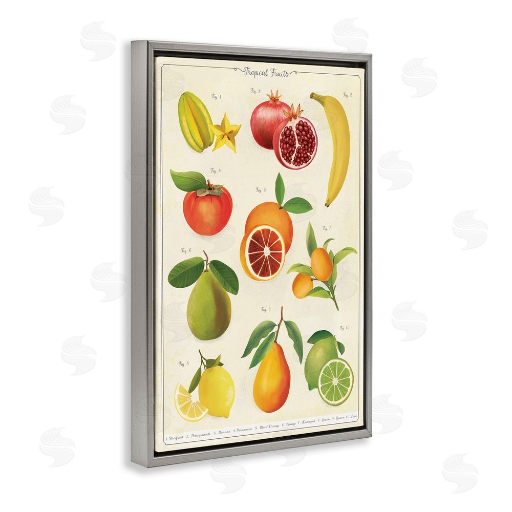 Diane Neukirch Vintage Tropical Fruit Studies Gray Floating Framed Canvas Wall Art Print