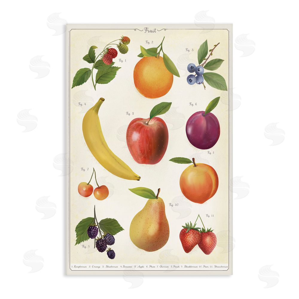 Diane Neukirch Fruit Collection Studies Stretched Canvas Wall Art