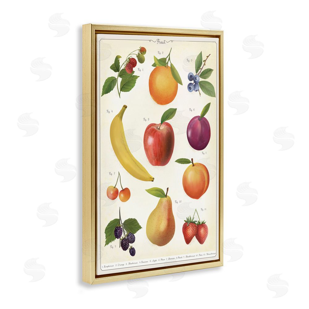 Diane Neukirch Fruit Collection Studies Gold Floating Framed Canvas Wall Art