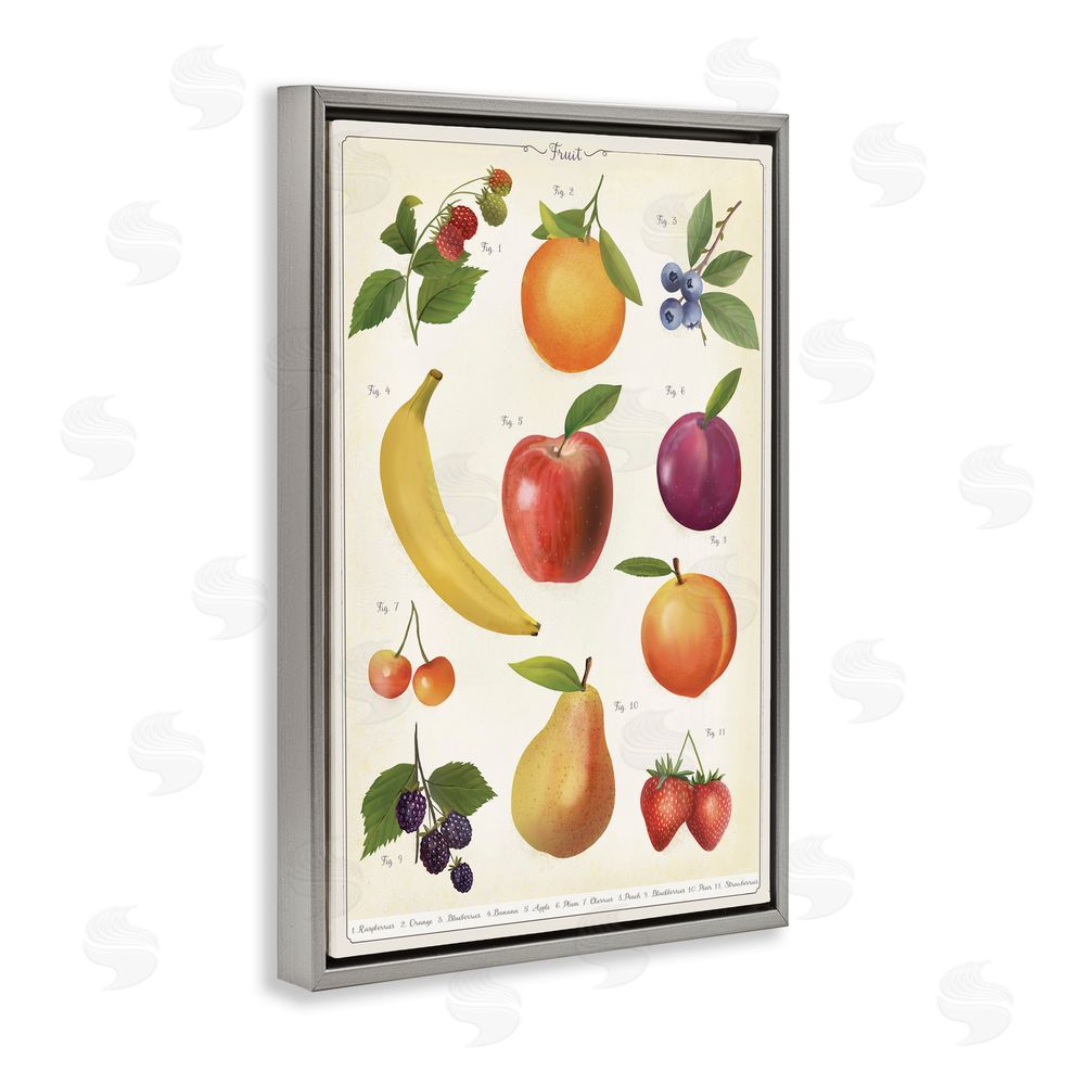 Diane Neukirch Fruit Collection Studies Gray Floating Framed Canvas Wall Art