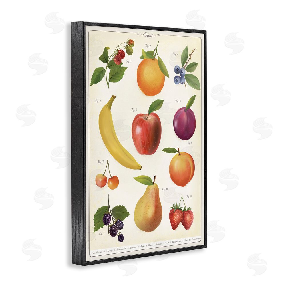 Diane Neukirch Fruit Collection Studies Black Framed Giclee Wall Art
