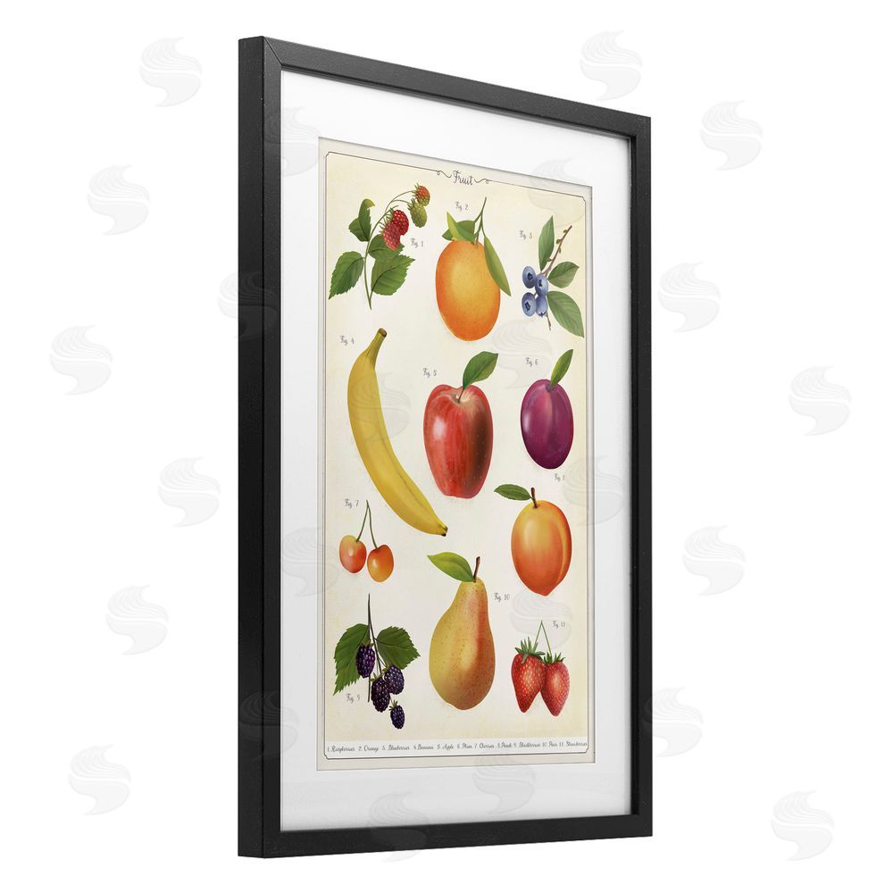 Diane Neukirch Fruit Collection Studies Black Framed Print Under Glass Wall Art