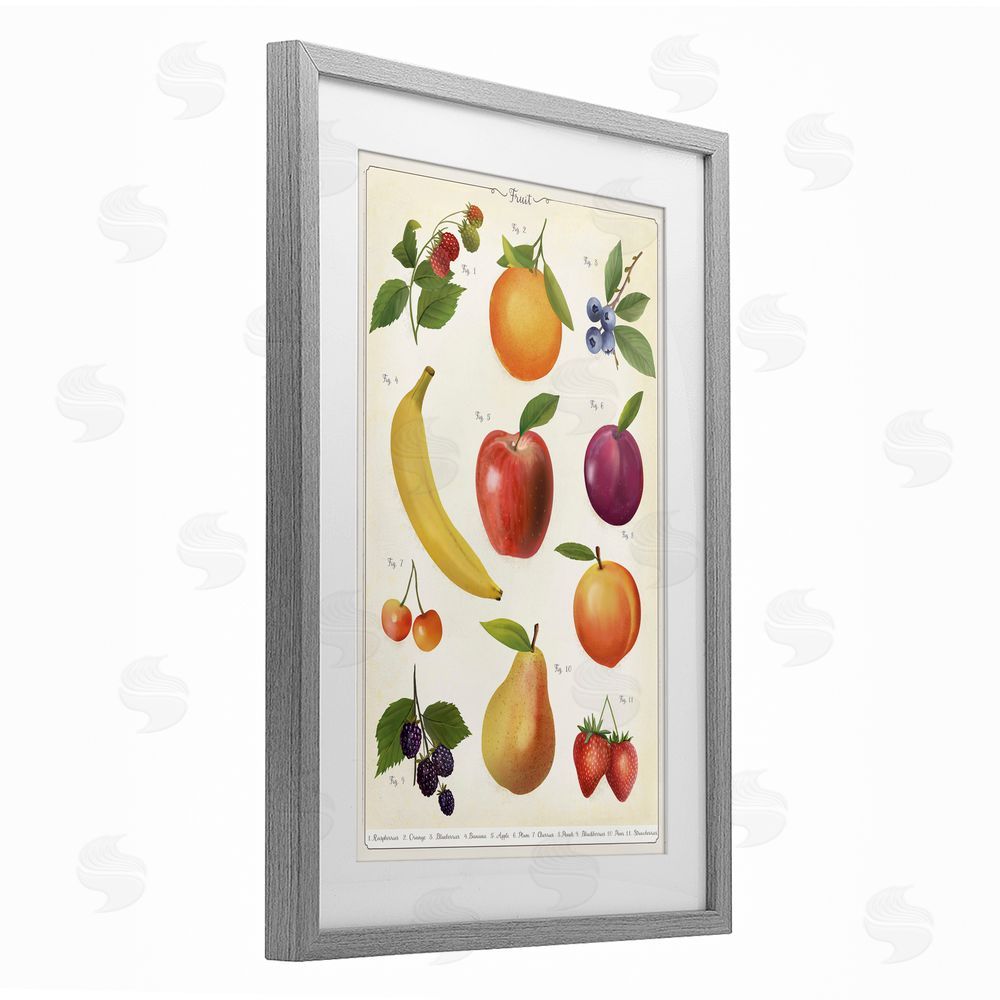Diane Neukirch Fruit Collection Studies Gray Framed Print Under Glass Wall Art