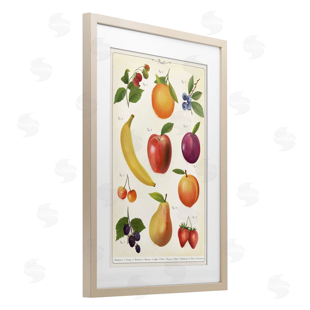 Diane Neukirch Fruit Collection Studies Brown Framed Print Under Glass Wall Art