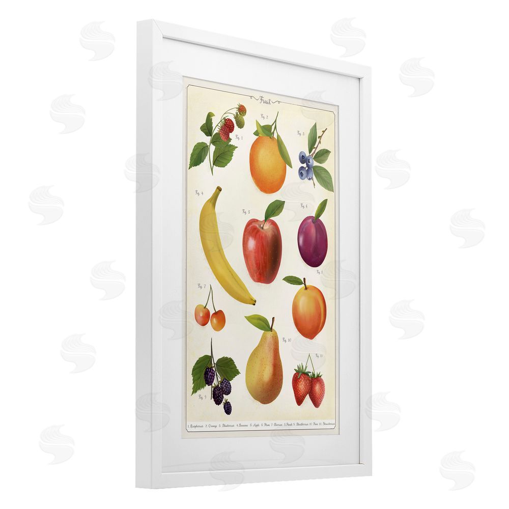Diane Neukirch Fruit Collection Studies White Framed Print Under Glass Wall Art