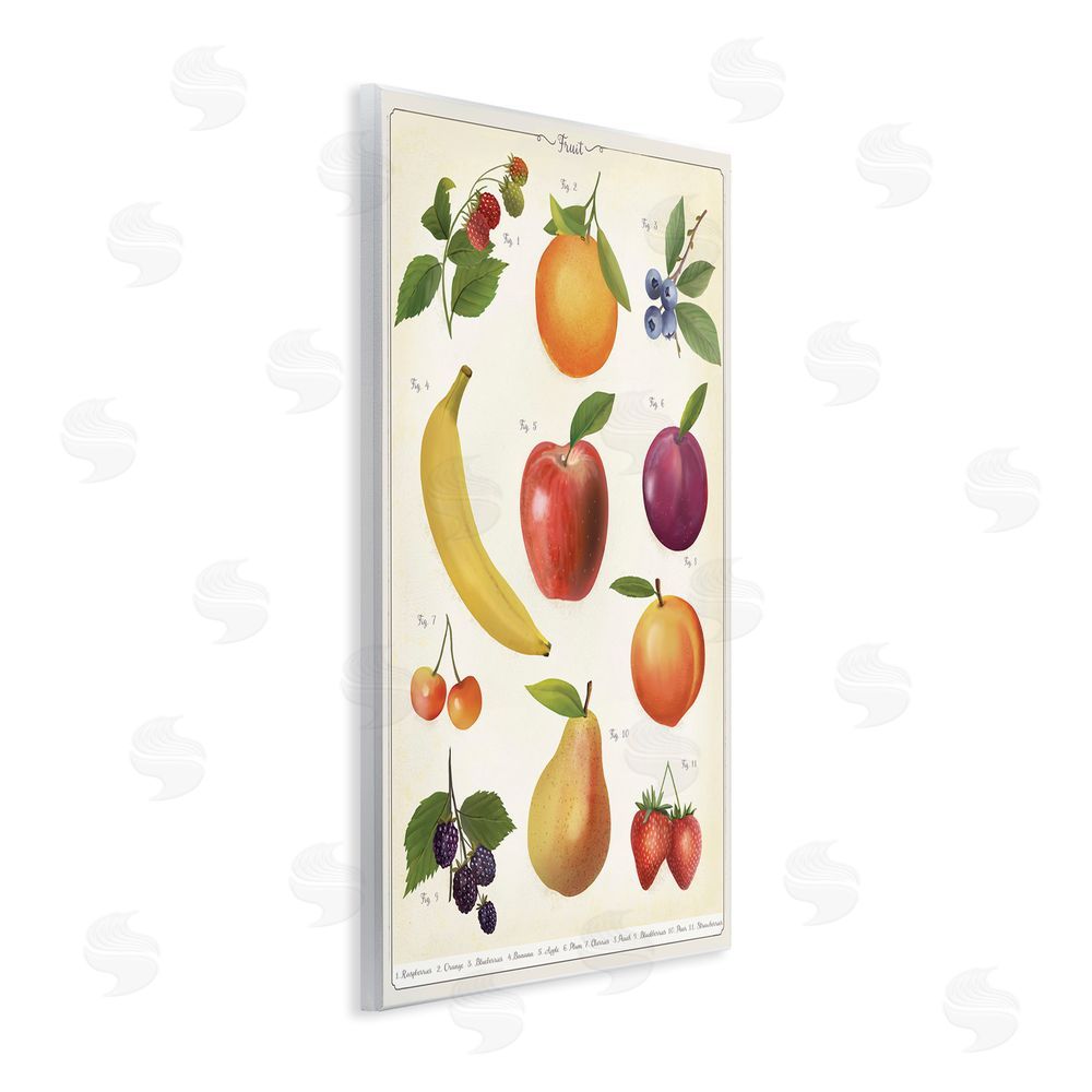 Diane Neukirch Fruit Collection Studies Wall Plaque Home Decor Art Print