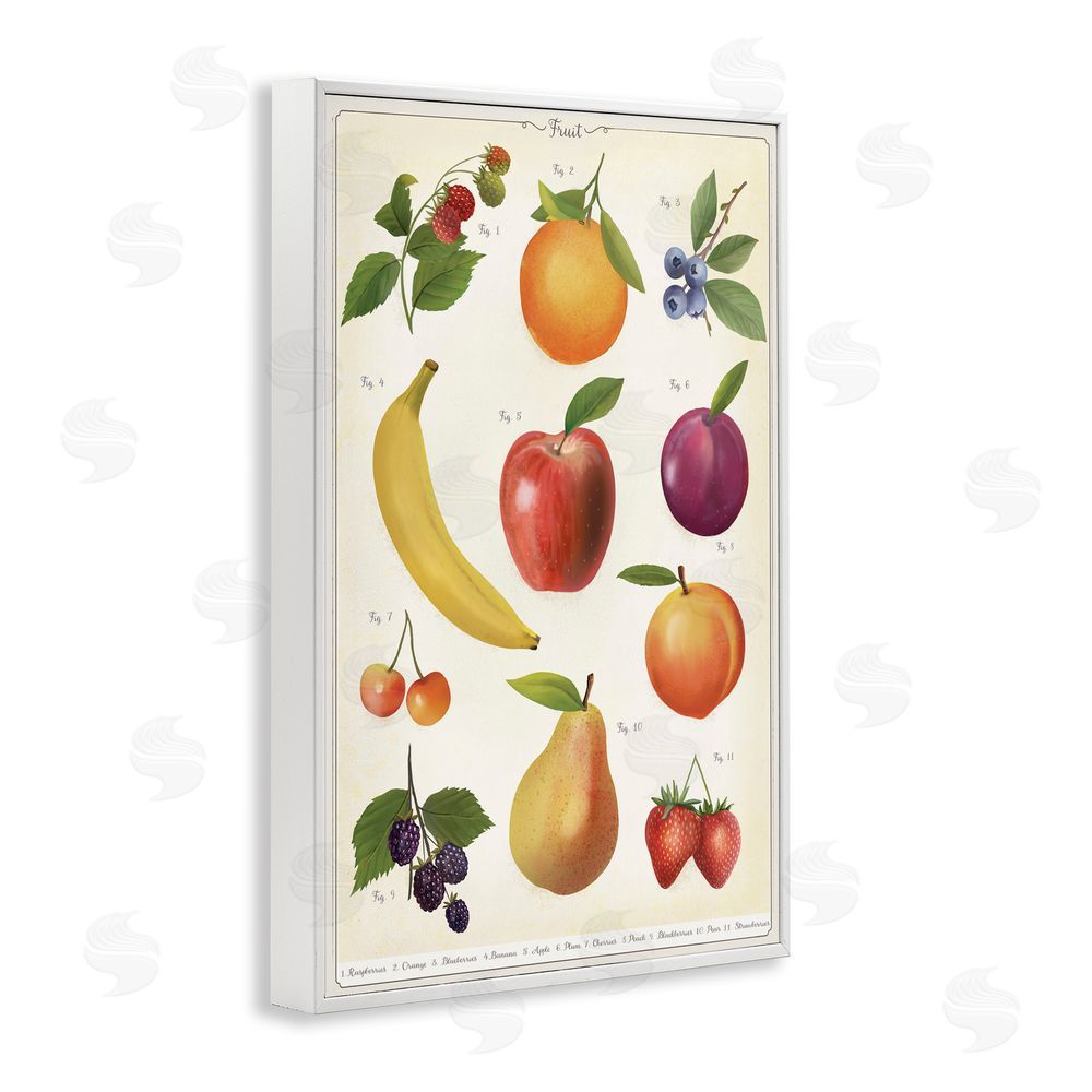 Diane Neukirch Fruit Collection Studies White Framed Giclee Wall Art