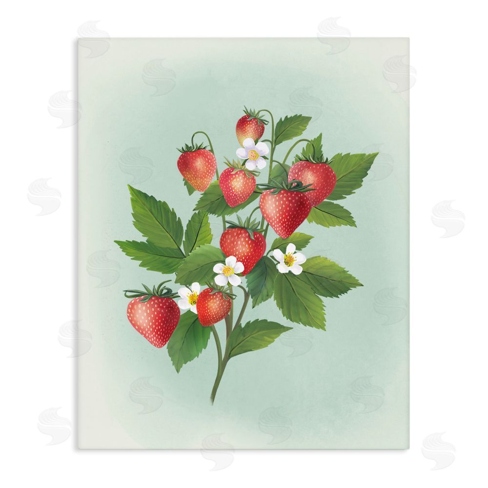 Diane Neukirch Vintage Strawberry Bundle Stretched Canvas Wall Art Print