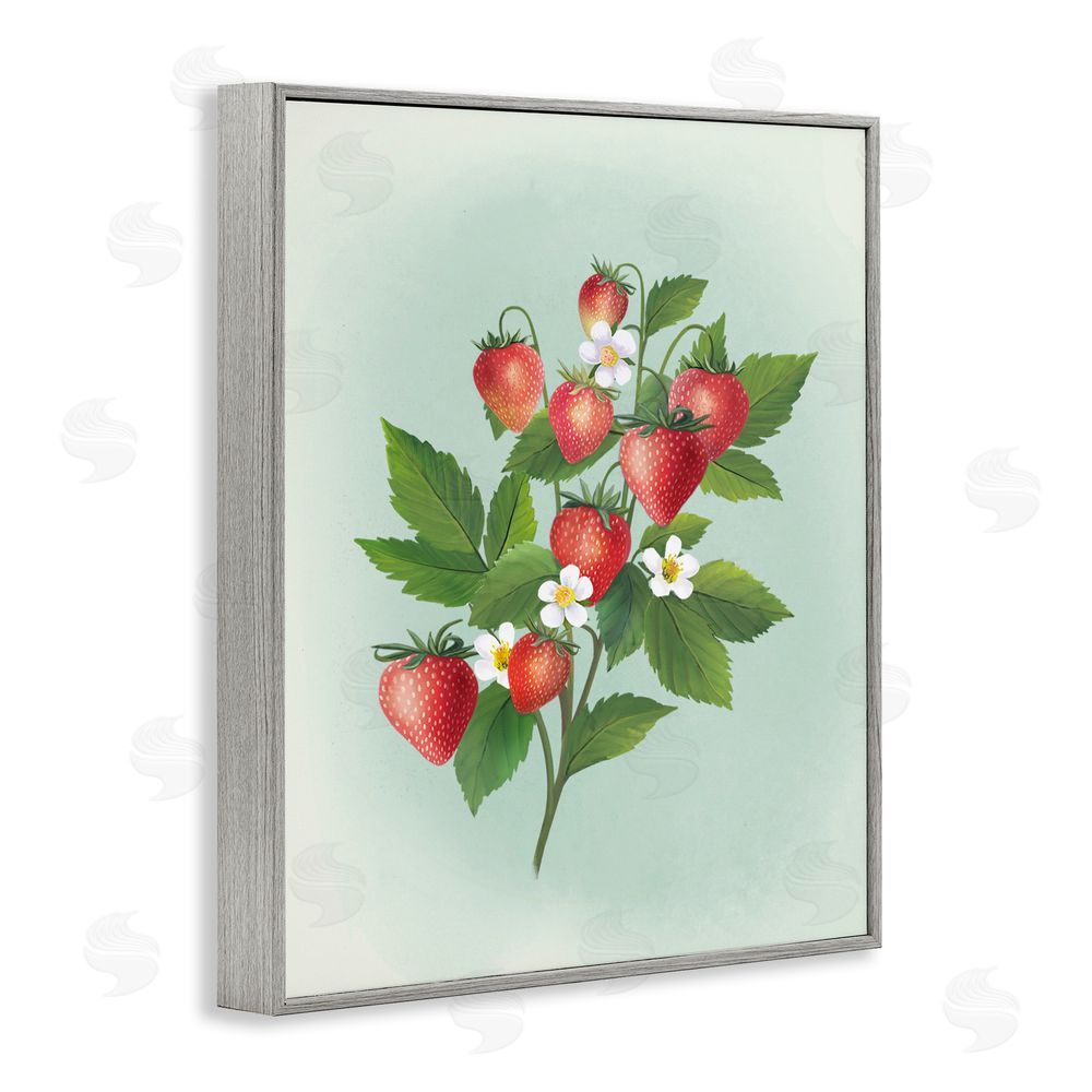 Diane Neukirch Vintage Strawberry Bundle Gray Framed Giclee Wall Art Print