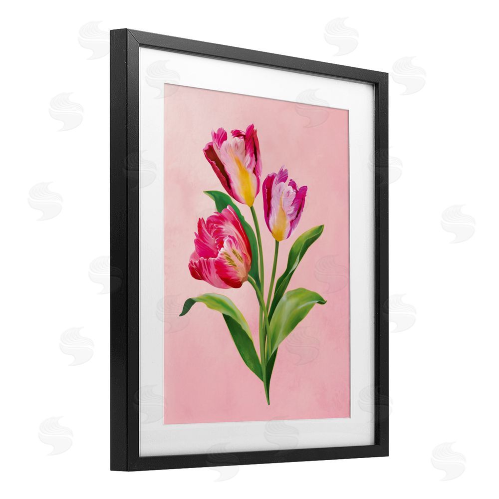 Diane Neukirch Vibrant Magenta Tulips Black Framed Print Under Glass with White Mat Wall Art