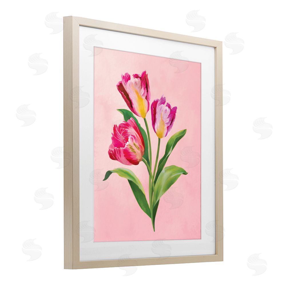 Diane Neukirch Vibrant Magenta Tulips Brown Framed Print Under Glass with White Mat Wall Art