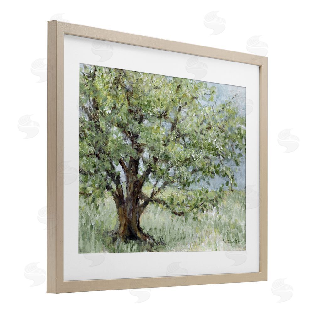 Lanie Loreth Summer Oak Splendor Landscape Brown Framed Print Under Glass with White Mat Wall Art