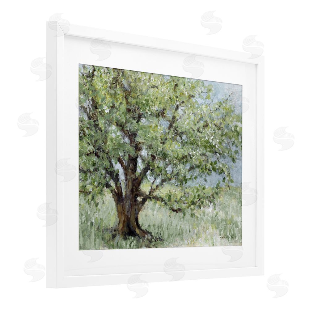 Lanie Loreth Summer Oak Splendor Landscape White Framed Print Under Glass with White Mat Wall Art