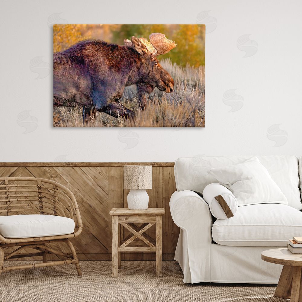 Shelley Carlisle Bull Moose At Dusk Stretched Canvas Wall Art in Room
