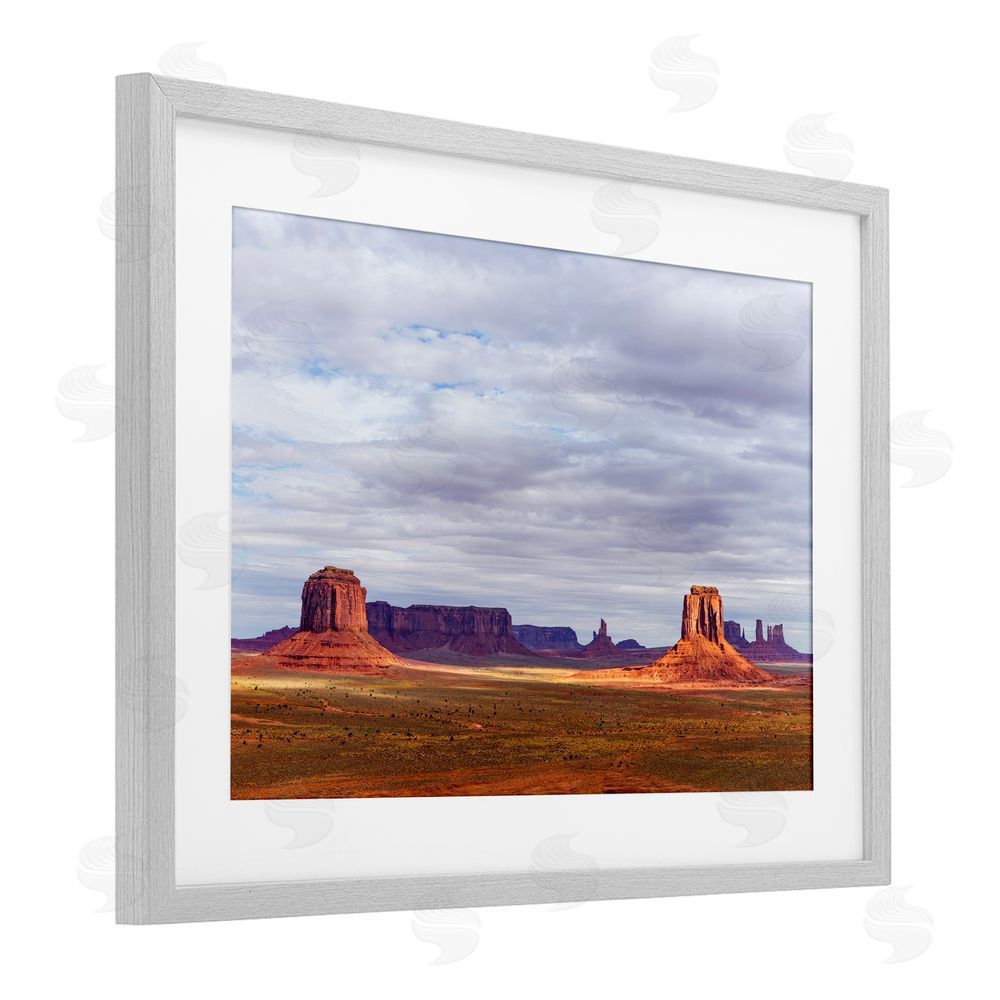 Shelley Carlisle Monumental Desert Buttes & Mesas Gray Framed Print Under Glass Wall Art