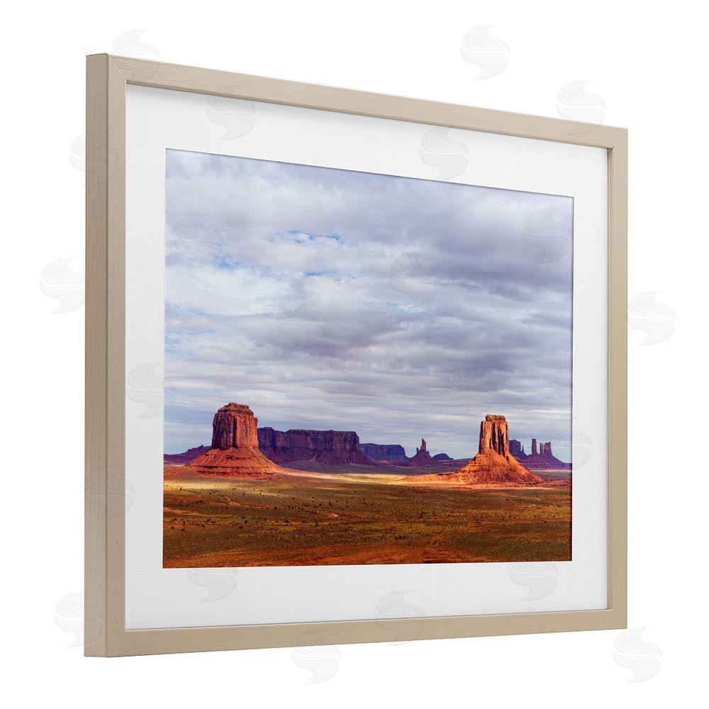 Shelley Carlisle Monumental Desert Buttes & Mesas Brown Framed Print Under Glass Wall Art