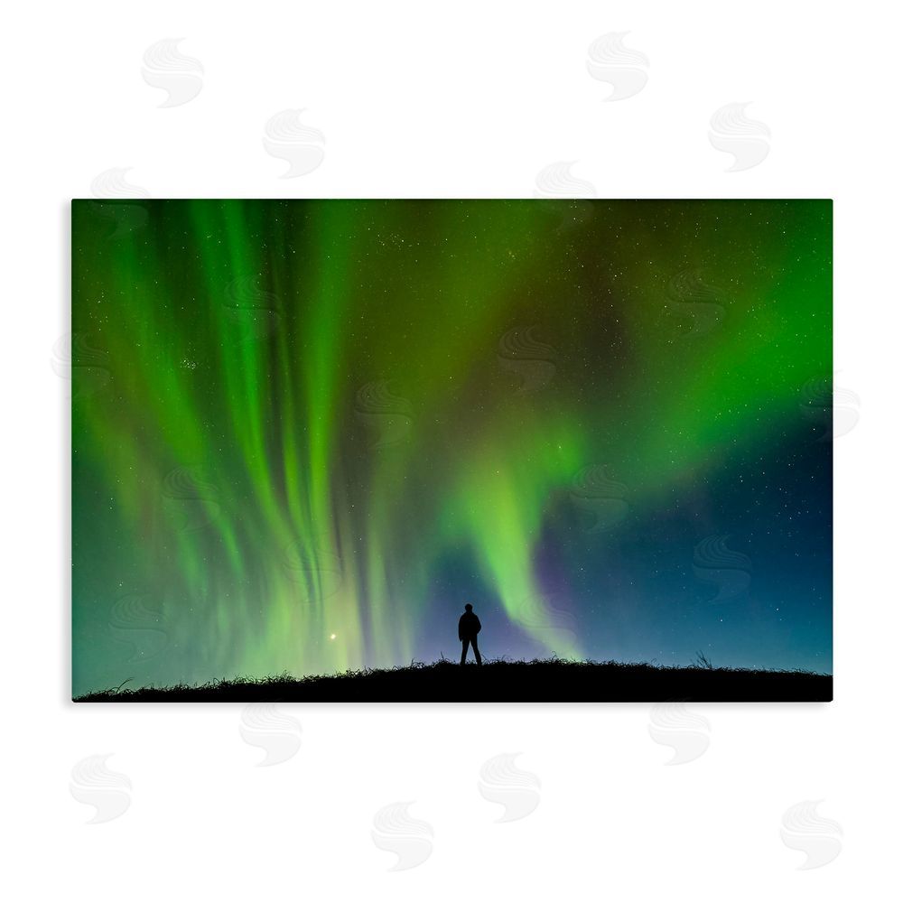Shelley Carlisle Envelop Northern Lights Silhouette Stretched Canvas Wall Art Print