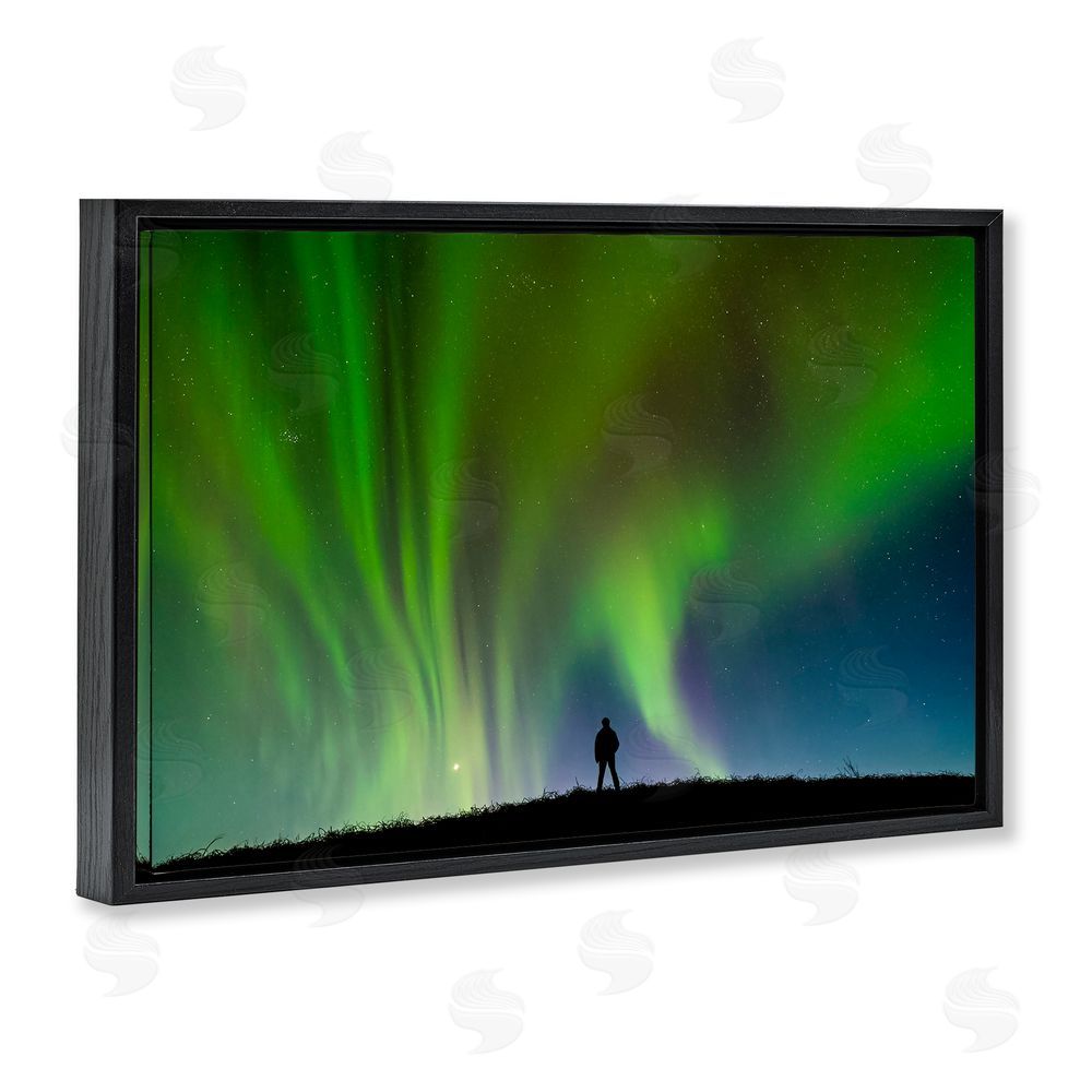 Shelley Carlisle Envelop Northern Lights Silhouette Black Floating Frame Canvas Wall Art Print