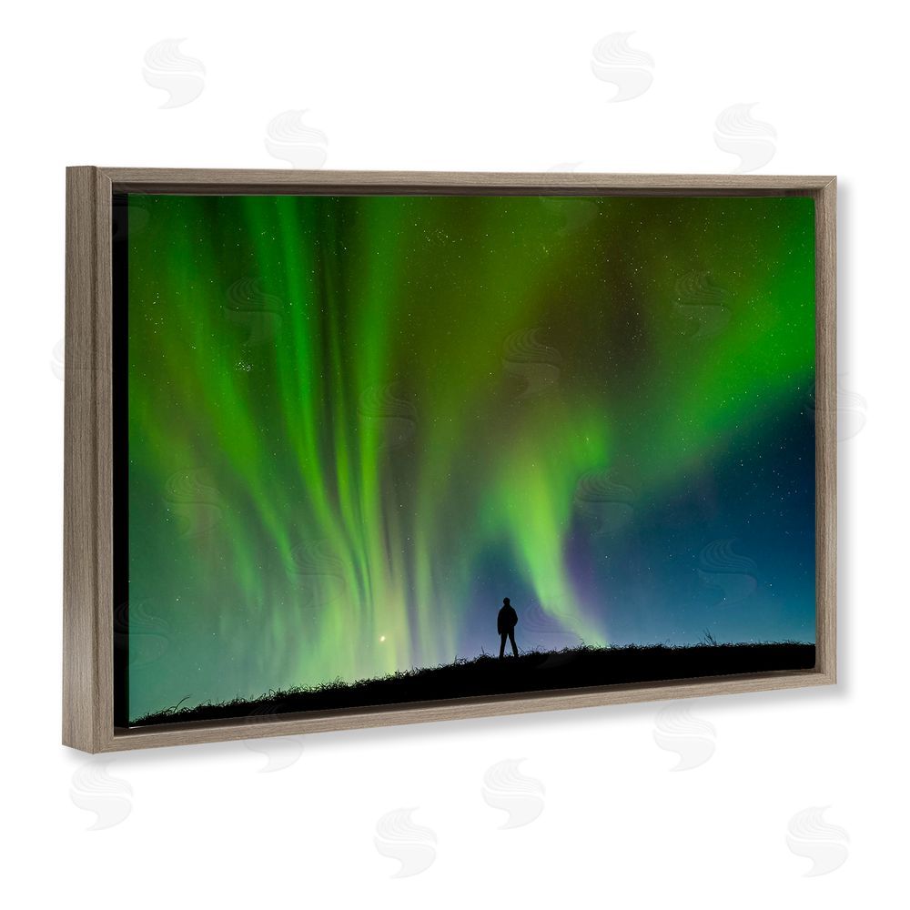 Shelley Carlisle Envelop Northern Lights Silhouette Brown Floating Frame Canvas Wall Art Print