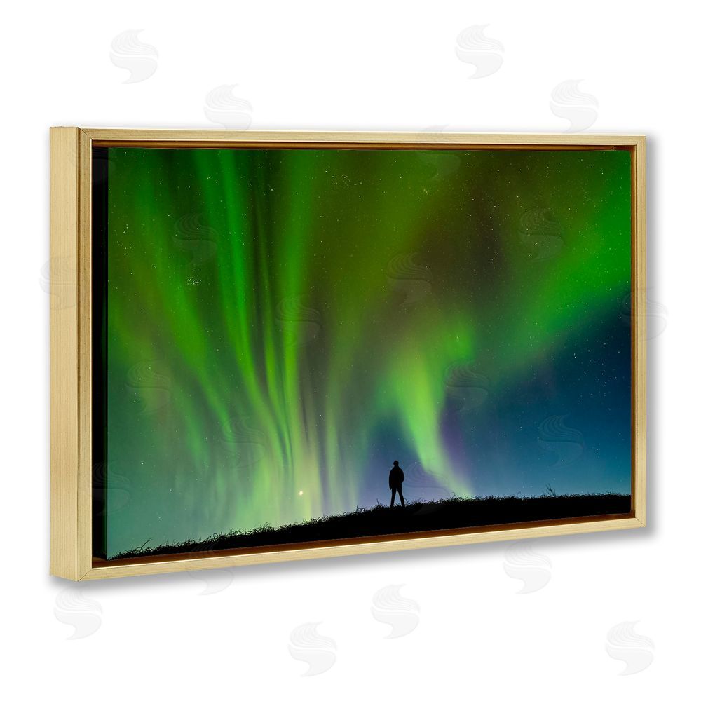 Shelley Carlisle Envelop Northern Lights Silhouette Gold Floating Frame Canvas Wall Art Print