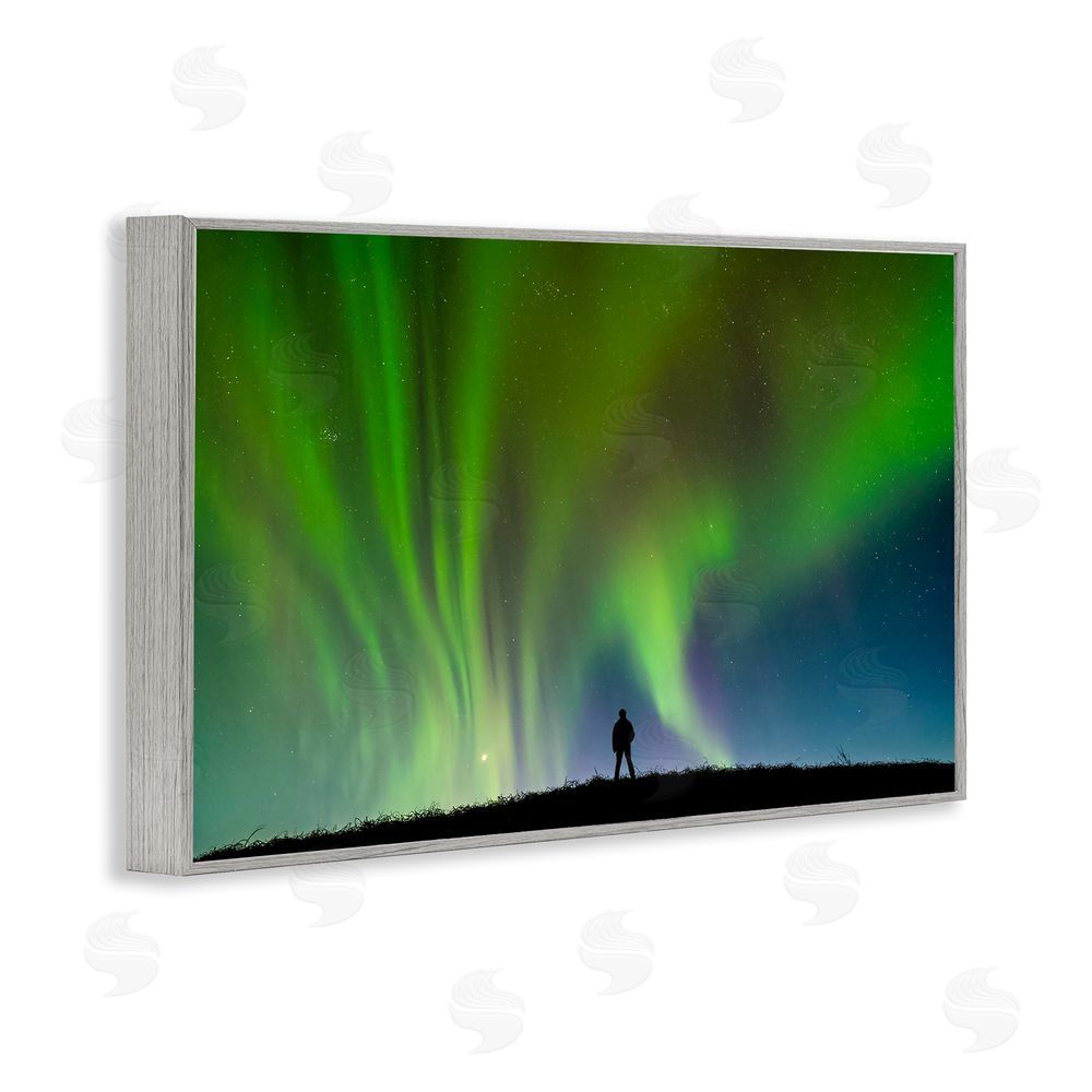 Shelley Carlisle Envelop Northern Lights Silhouette Gray Framed Giclee Wall Art Print