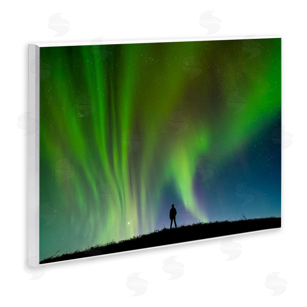 Shelley Carlisle Envelop Northern Lights Silhouette Wooden Wall Plaque Art Print