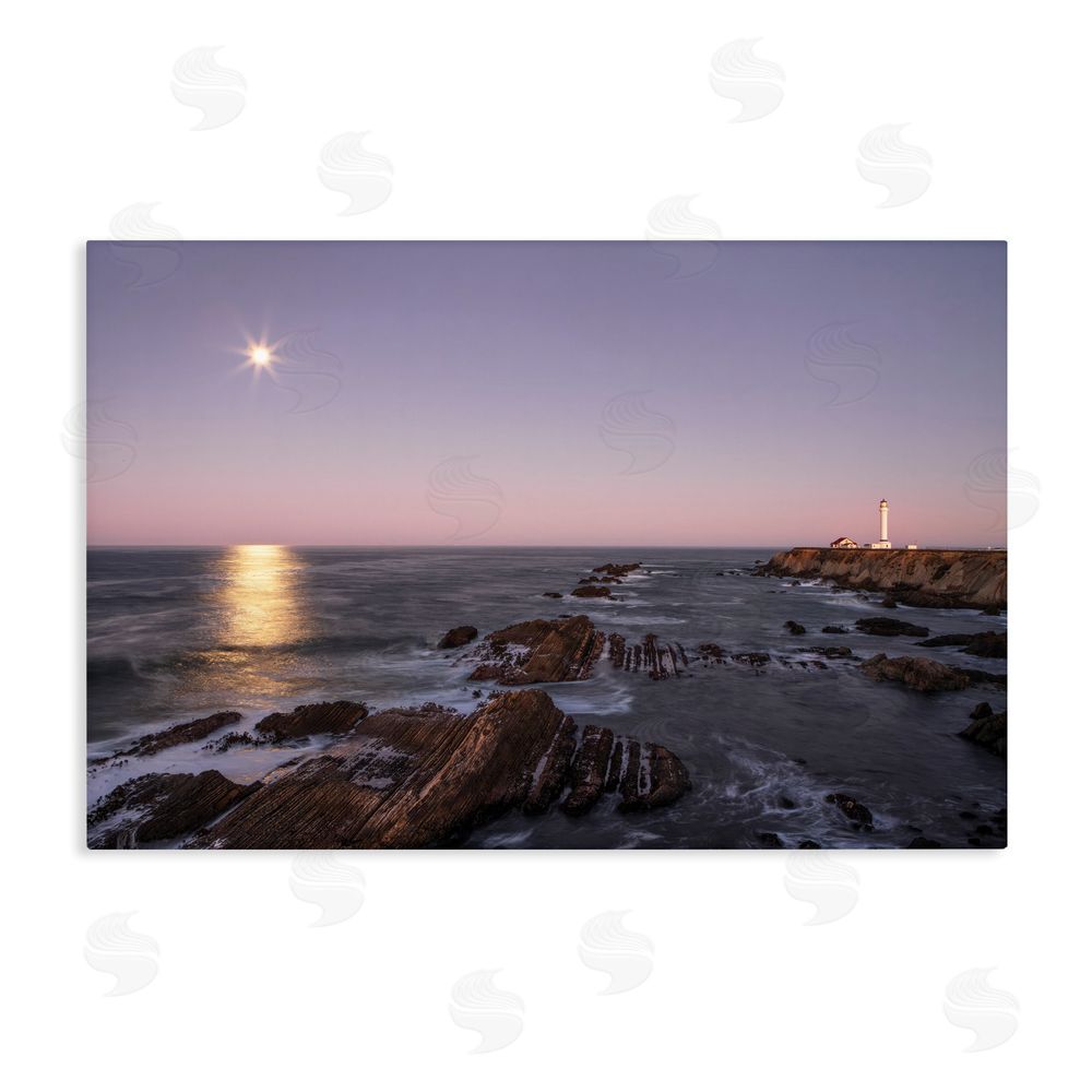 Shelley Carlisle Moon Arena Coastline Stretched Canvas Wall Art Print