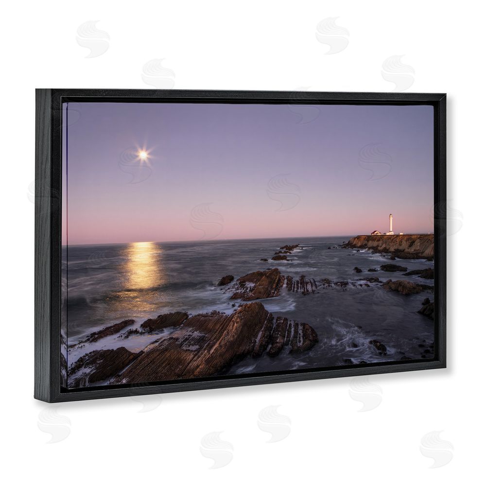 Shelley Carlisle Moon Arena Coastline Black Floating Frame Canvas Wall Art Print