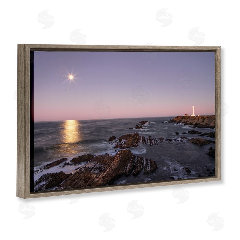 Shelley Carlisle Moon Arena Coastline Brown Floating Frame Canvas Wall Art Print