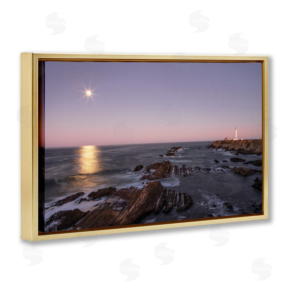 Shelley Carlisle Moon Arena Coastline Gold Floating Frame Canvas Wall Art Print