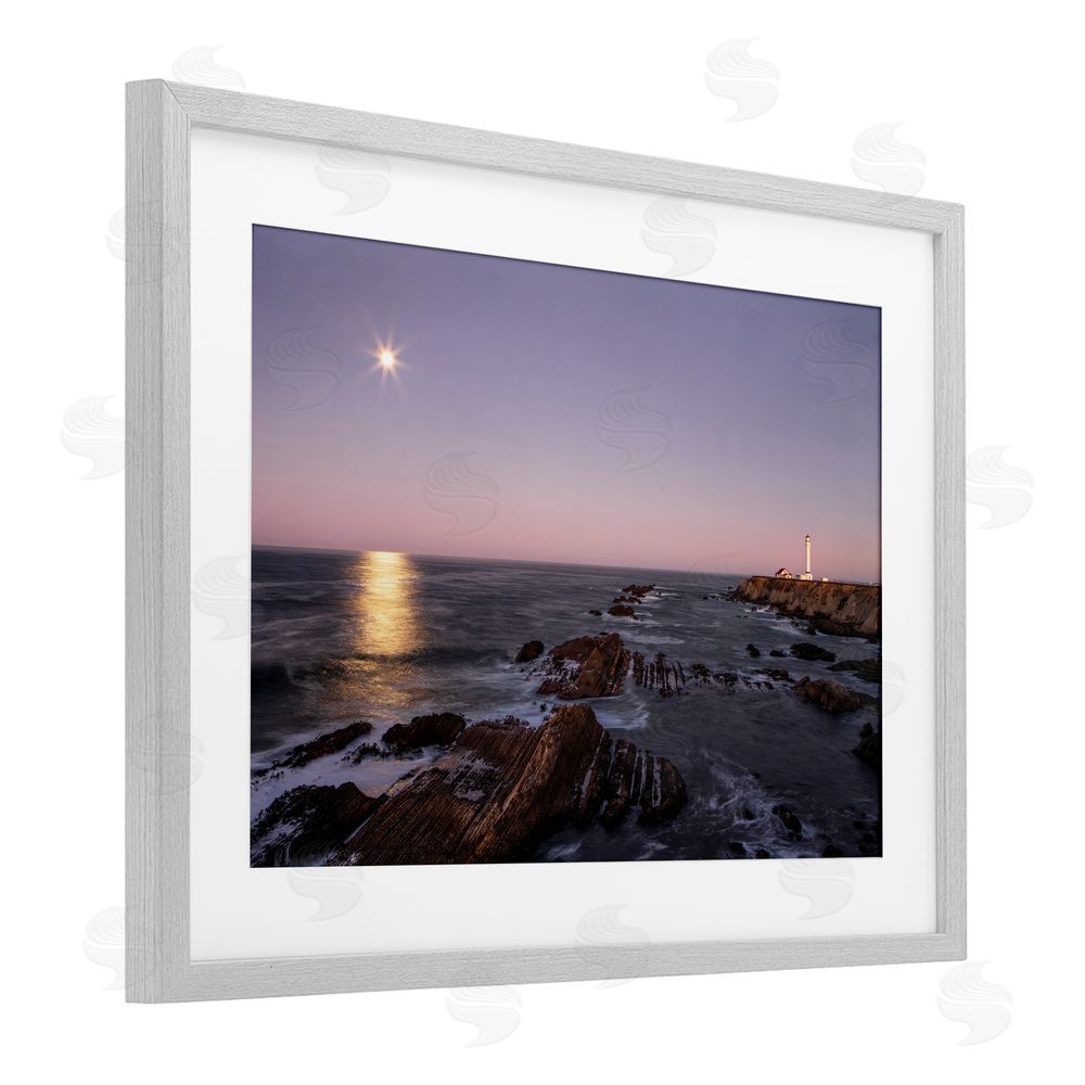 Shelley Carlisle Moon Arena Coastline Gray Framed Print Under Glass Wall Art