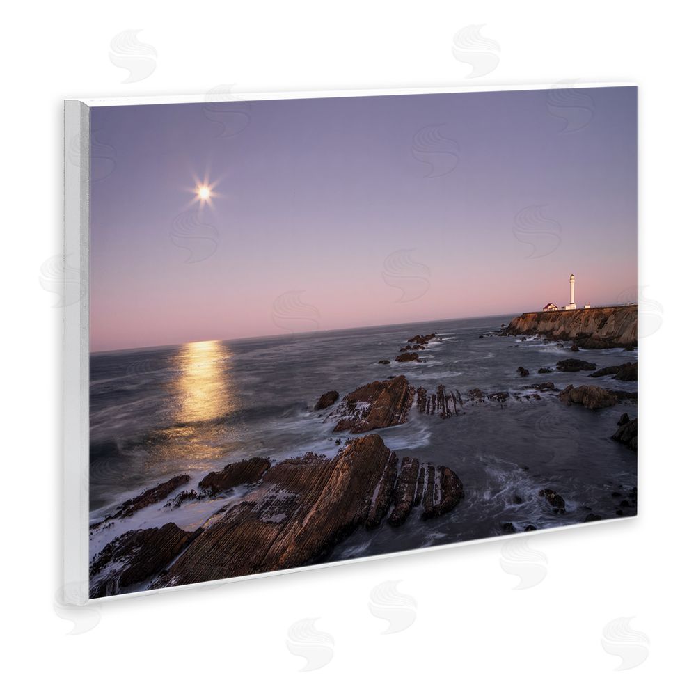 Shelley Carlisle Moon Arena Coastline Wooden Wall Plaque Art Print