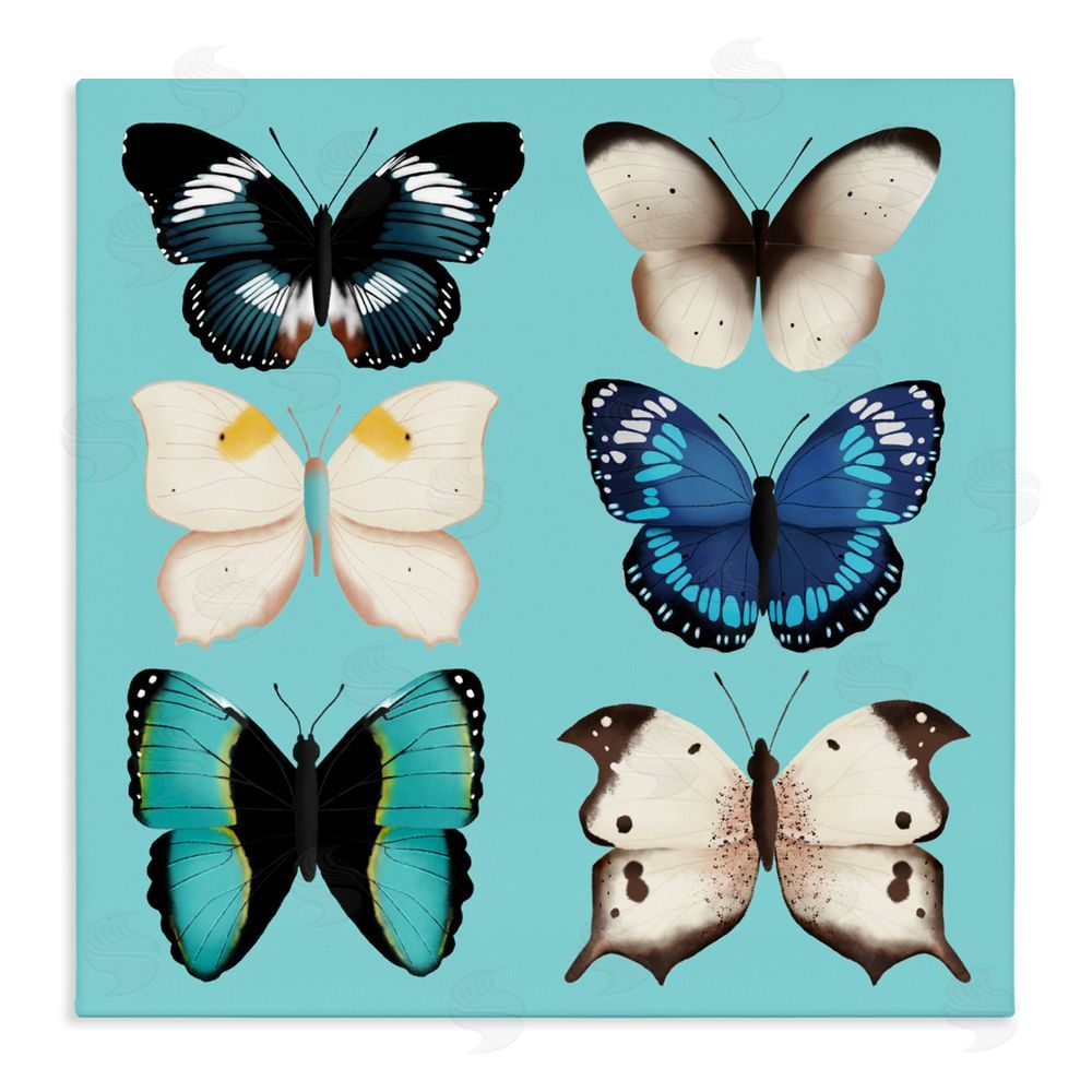 Metka Hiti Six Diverse Butterflies on Turquoise Stretched Canvas Wall Art Print