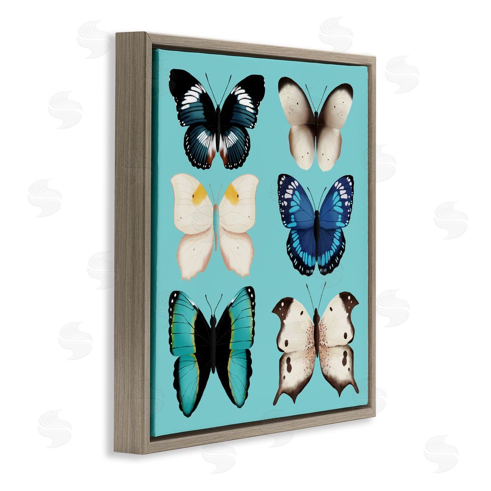 Metka Hiti Six Diverse Butterflies on Turquoise Brown Floating Frame Canvas Wall Art Print