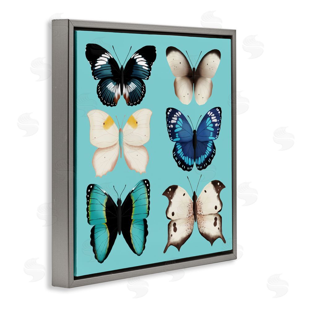 Metka Hiti Six Diverse Butterflies on Turquoise Gray Floating Frame Canvas Wall Art Print