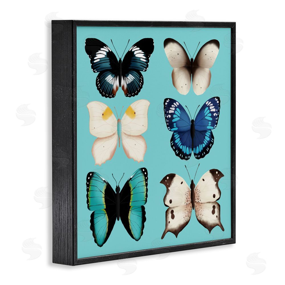 Metka Hiti Six Diverse Butterflies on Turquoise Black Framed Giclee Wall Art Print