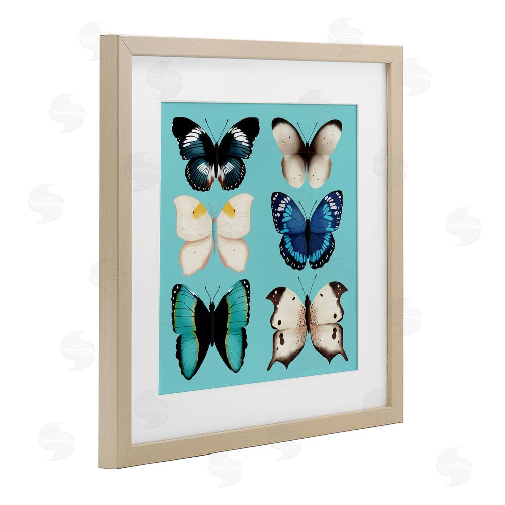 Metka Hiti Six Diverse Butterflies on Turquoise Brown Framed Print Under Glass Wall Art