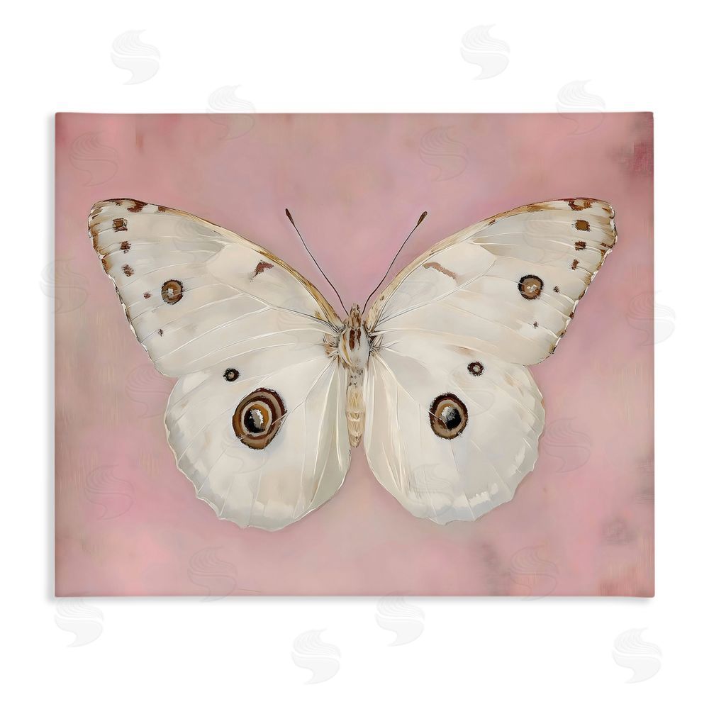Arlington Prints Gossamer Butterfly on Blush Background Stretched Canvas Wall Art