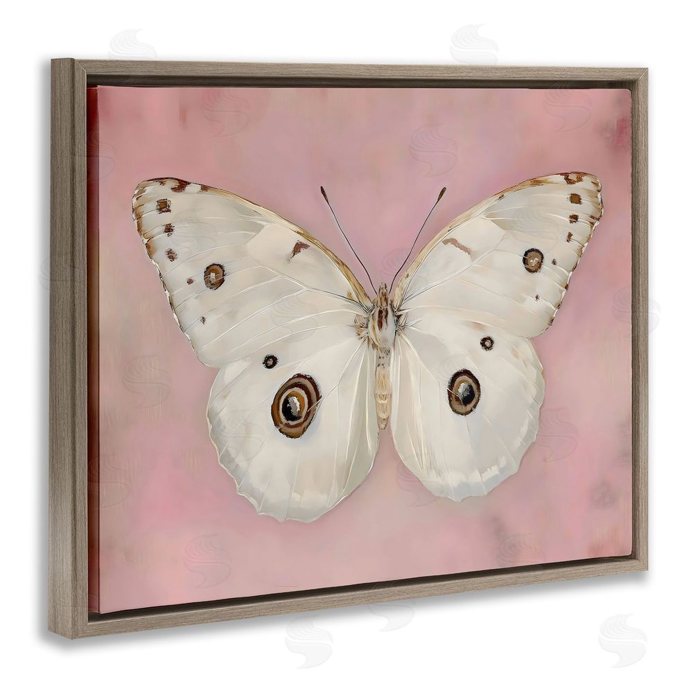 Arlington Prints Gossamer Butterfly on Blush Background Brown Floating Framed Canvas Wall Art