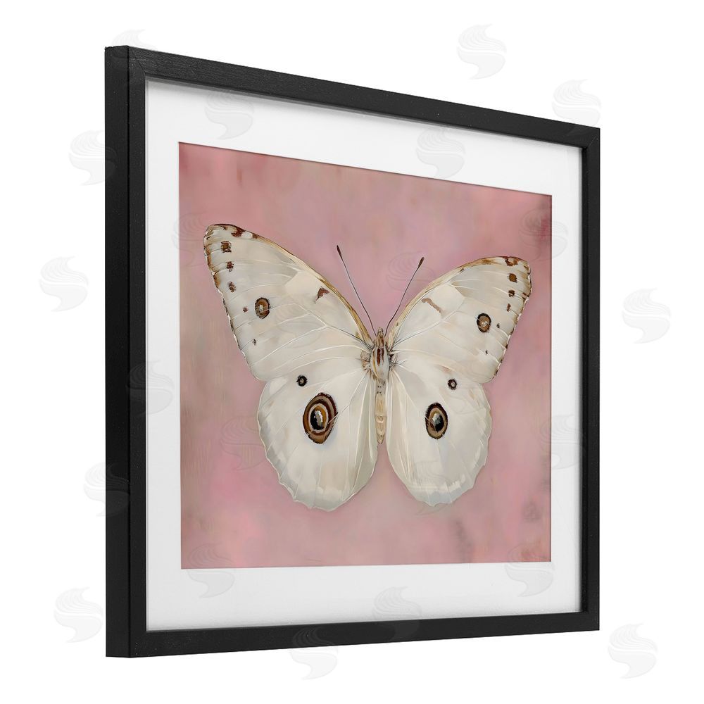 Arlington Prints Gossamer Butterfly on Blush Background Black Framed Print Under Glass Wall Art