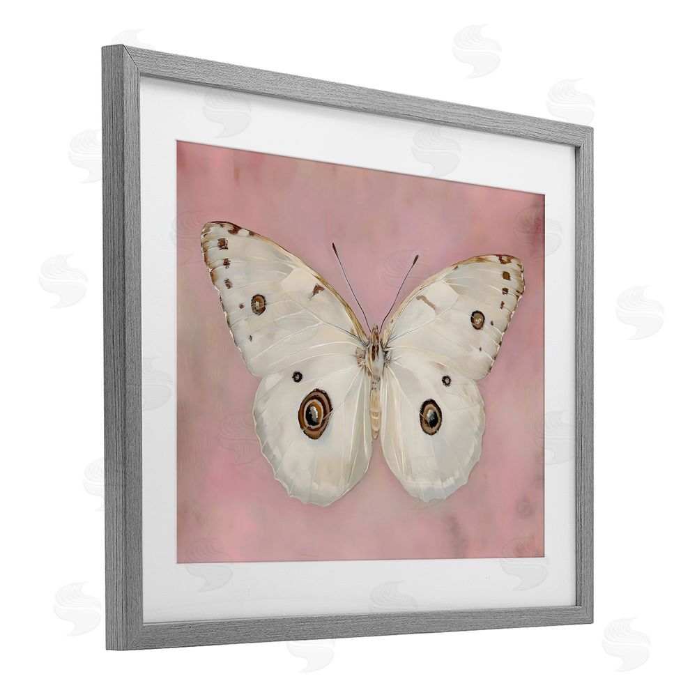 Arlington Prints Gossamer Butterfly on Blush Background Gray Framed Print Under Glass Wall Art